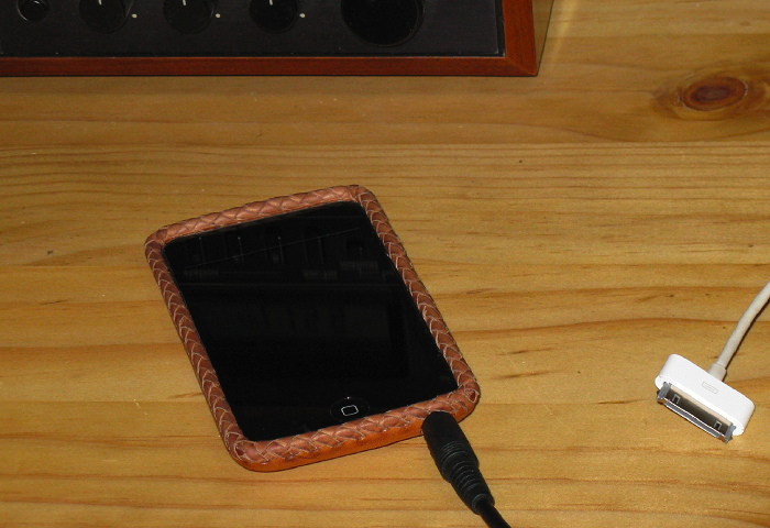 Leather case for iPod touch, February 16, 2009