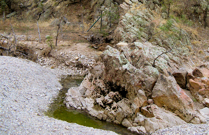 Poolside, Mule Creek Road, Guthrie AZ, March 30, 2008