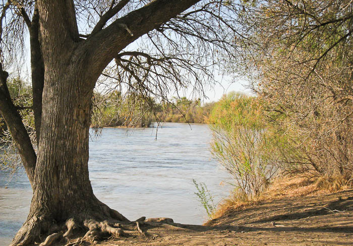 Rio Grande River, Percha Dam State Park, Arrey NM, March 26, 2009