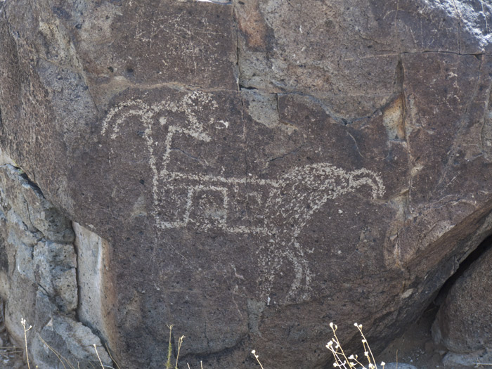 Three Rivers Petroglyphs Series #2, Three Rivers NM, April 28, 2009