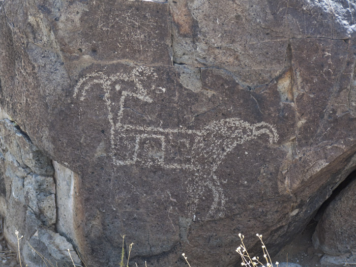 Three Rivers Petroglyphs Series #2, Three Rivers NM, April 28, 2009 Three Rivers Petroglyphs Series #2, Three Rivers NM, April 28, 2009