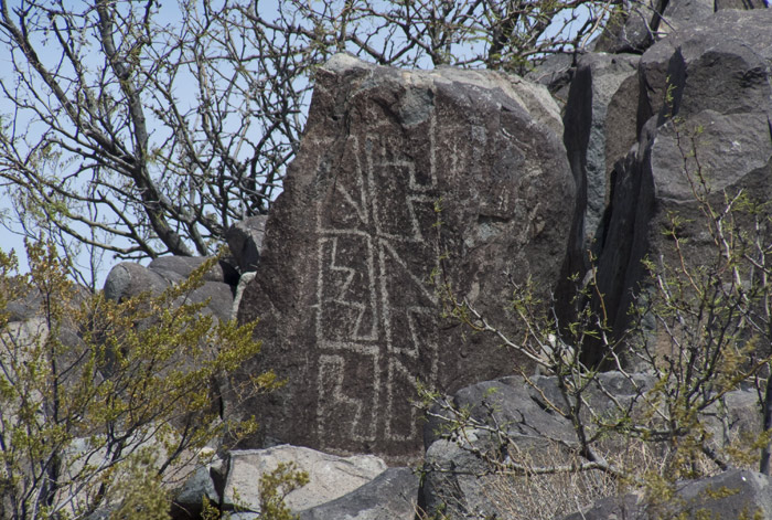 Three Rivers Petroglyphs Series #4, Three Rivers NM, April 28, 2009