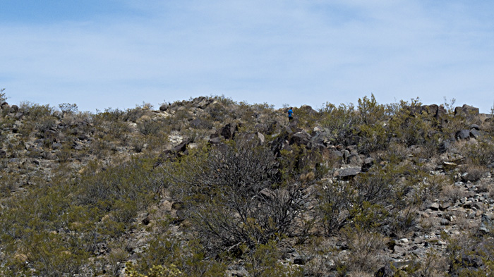 Three Rivers Petroglyphs Series #5, Three Rivers NM, April 28, 2009