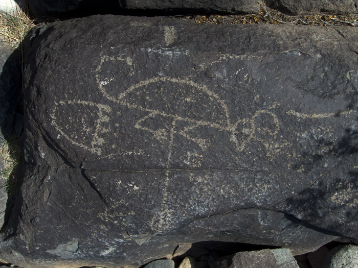 Three Rivers Petroglyphs Series #6, Three Rivers NM, April 28, 2009