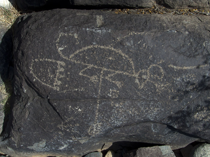 Three Rivers Petroglyphs Series #6, Three Rivers NM, April 28, 2009 Three Rivers Petroglyphs Series #6, Three Rivers NM, April 28, 2009