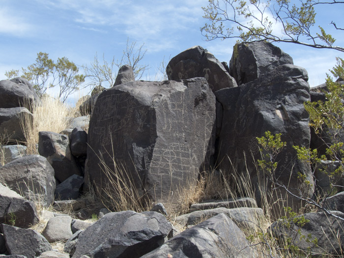 Three Rivers Petroglyphs Series #1, Three Rivers NM, April 28, 2009