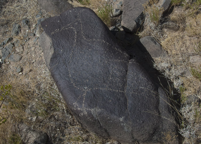 Three Rivers Petroglyphs Series #14, Three Rivers NM, April 28, 2009