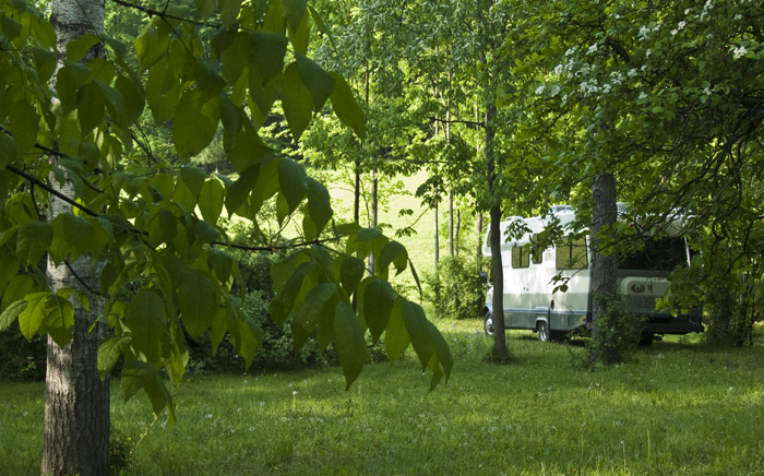 A Spring Morning, Home Farm, Red Rock, East Chatham NY, May 24, 2009.jpg