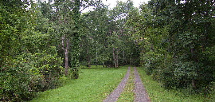 Homeward bound, July 31, 2009