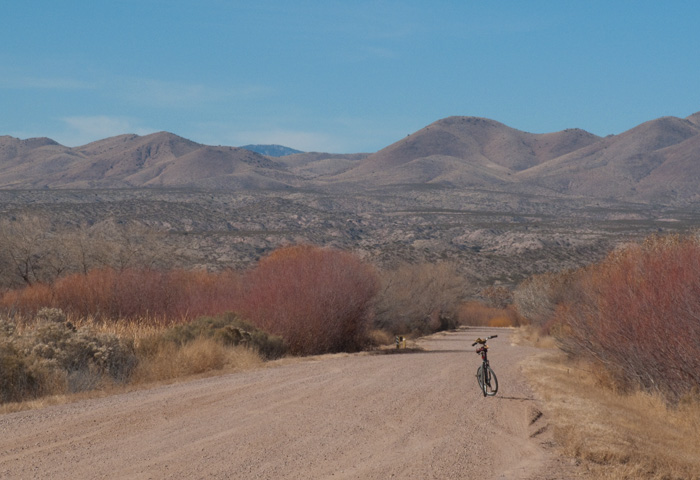 Biking the Bosque, Bosque del Apache National Wildlife Refuge, December 20, 2009