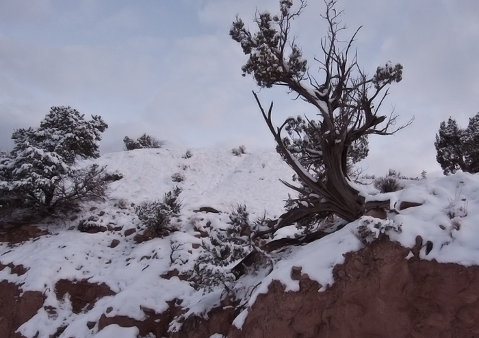 Snow, Ghost Ranch, Abiquiu NM, December 24, 2009