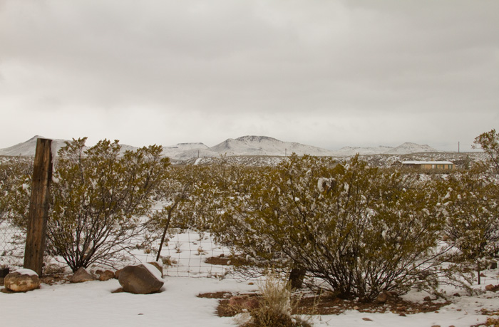 Snow, Bosque Birdwatchers RV Park, San Antonio NM, January 28, 2010