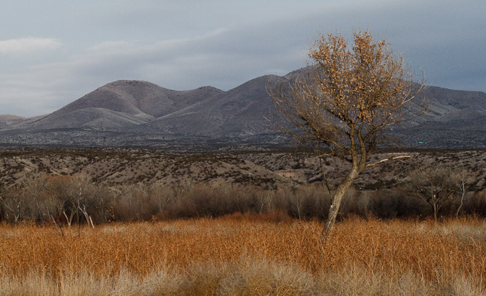 Chupadera Peak, Bosque National Wildlife Refuge, San Antonio NM, February 10, 2010