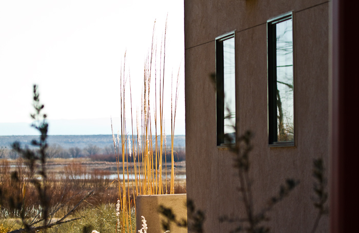 Visitors Center, Bosque National Wildlife Refuge, San Antonio NM, February 16, 2010