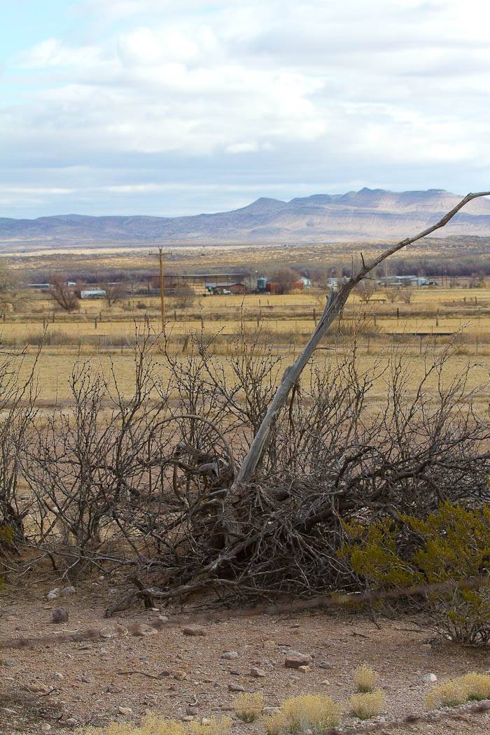 Farming the Rio Grande valley, San Antonio NM, February 25, 2010 Farming the Rio Grande valley, San Antonio NM, February 25, 2010