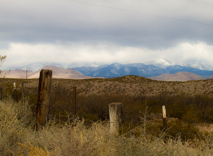 Over the Fence, looking northwest, Bosque Birdwatchers RV Park, San Antonio NM, February 25, 2010