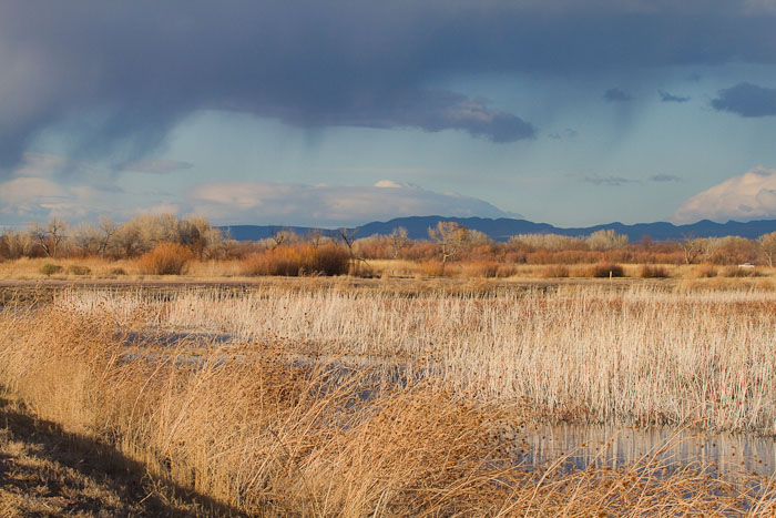 Afternoon Virga, Bosque del Apache National Wildlife Refuge, San Antonio NM, February 25, 2010