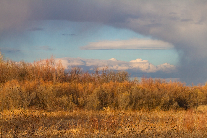 Virga View, Bosque del Apache National Wildlife Refuge, San Antonio NM, February 25, 2010