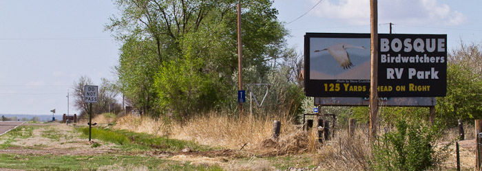 Approaching Bosque Birdwatchers RV Park, San Antonio NM, April 21, 2010