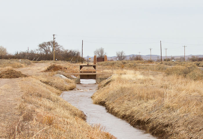 Spring at the Acequia, Bosque del Apache National Wildlife Refuge, San Antonio NM, March 6, 2011