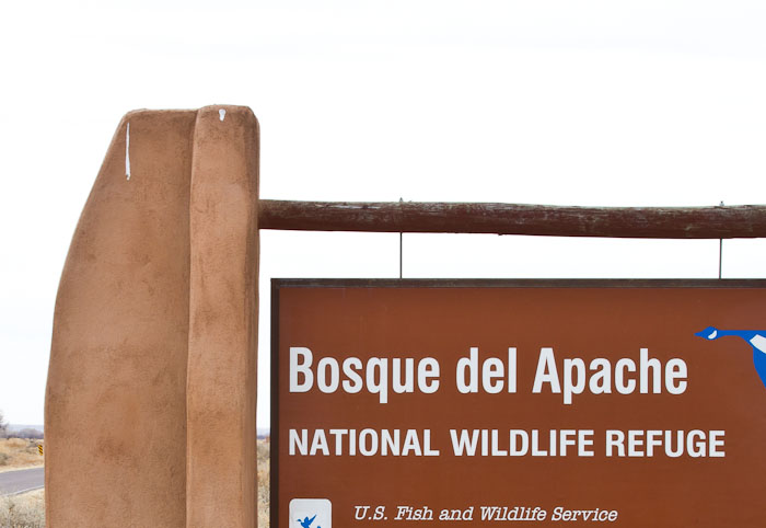 Poo, Bosque del Apache National Wildlife Refuge, San Antonio NM, March 6, 2011