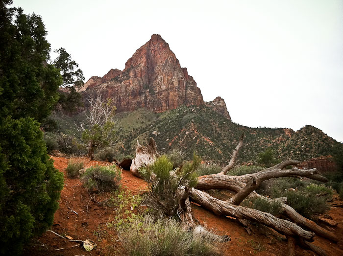 Watchman, Zion National Park, April 6, 2011 Watchman, Zion National Park, April 6, 2011