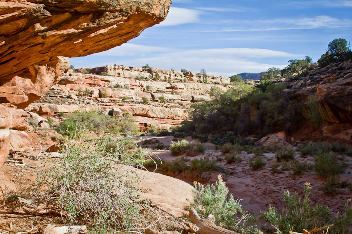 White Canyon, Fry Canyon UT, April 22, 2011