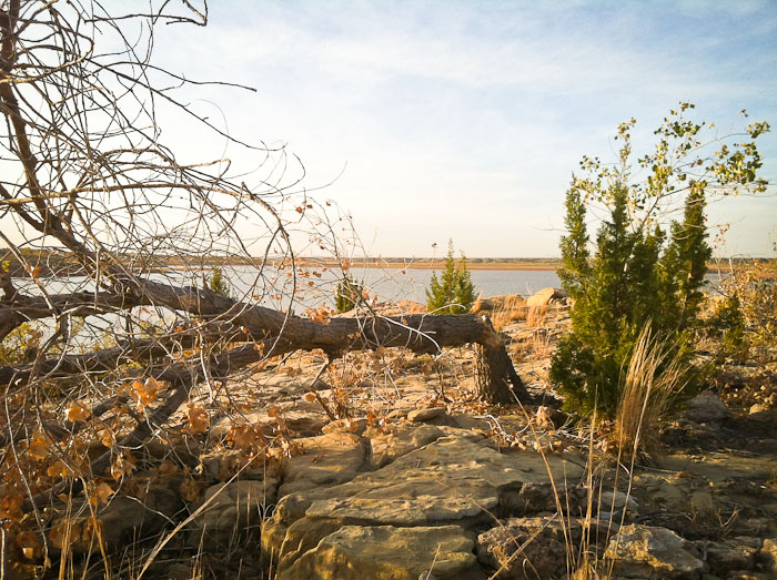 Gnawed, Sumner Lake State Park, Fort Sumner NM, November 4, 2011 Gnawed, Sumner Lake State Park, Fort Sumner NM, November 4, 2011