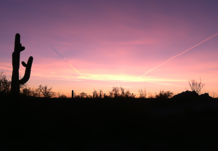 Redeye to Phoenix, Plomosa Road, Quartzsite AZ, January 29, 2012