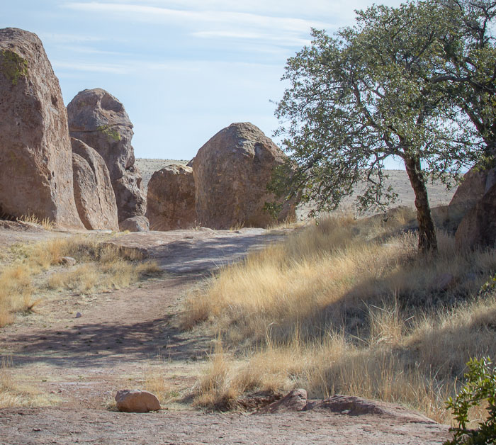 Leapin' Lizards!, City of Rocks State Park, Faywood NM, March 12, 2012