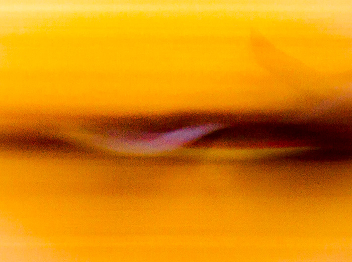 Flight, an Abstraction v2, Rio Grande River, Paseo del Rio, Elephant Butte NM, April 2, 2012 Flight, an Abstraction v2, Rio Grande River, Paseo del Rio, Elephant Butte NM, April 2, 2012