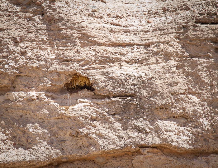 Cliffside Honeycomb, Caballo Lake State Park, Caballo NM, April 23, 2012