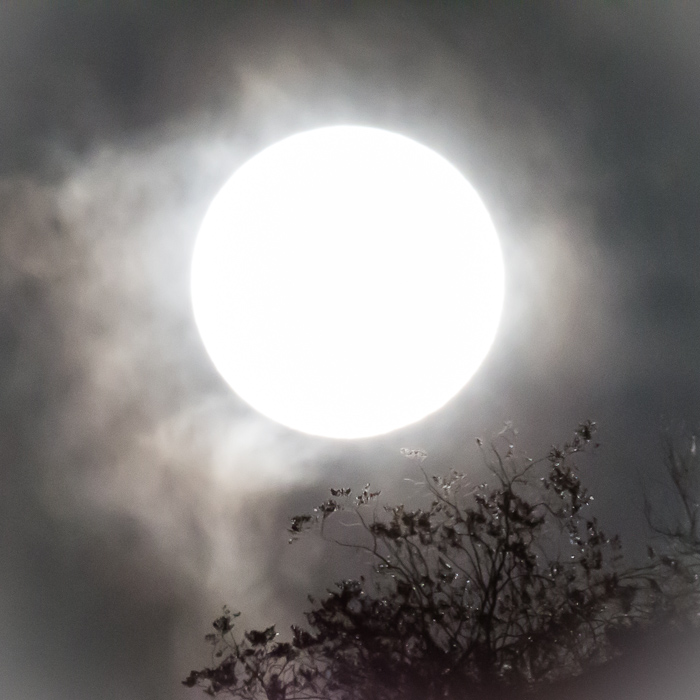 Full Moon Rising, Caballo Lake State Park, NM, May 5, 2012