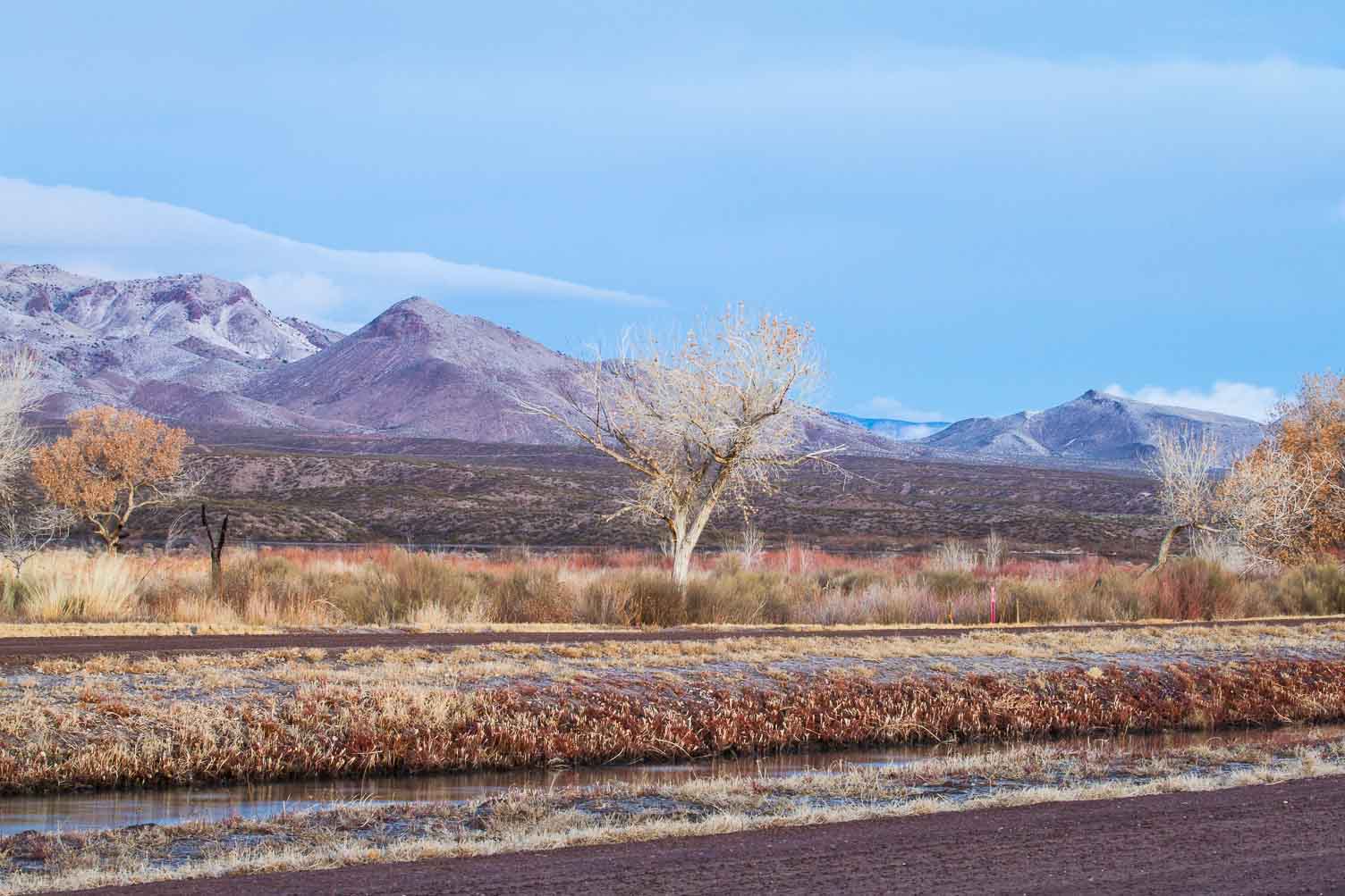 Chupadera Peak, Bosque del Apache National Wildlife Refuge, San Antonio NM, December 31, 2012