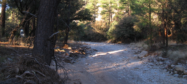 Camped along Mule Creek Road, Guthrie AZ, March 29, 2008