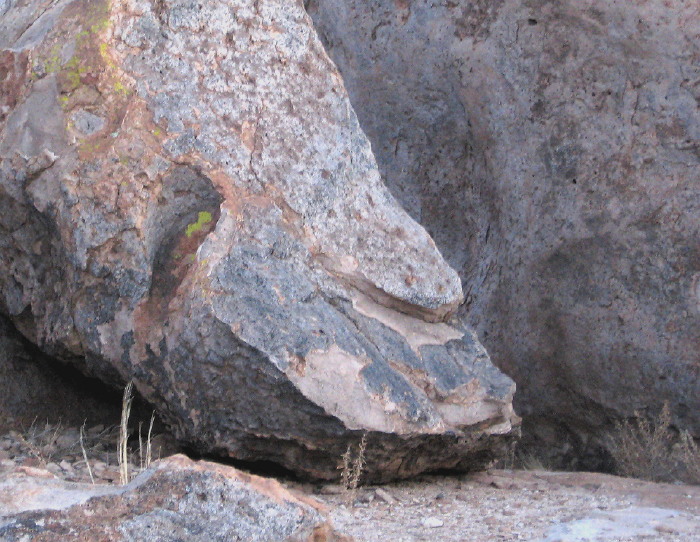 Saving face version 2, City of Rocks State Park, Deming NM, March 8, 2008