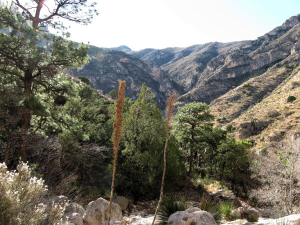 View from above the staircase looking west, Devil's Hall trail, Guadalupe Mountains National Park, January 1, 2009