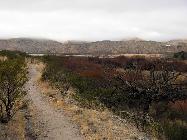 Rio Grande bridge on an overcast morning, Leasburg Dam State Park, Radium Springs NM, January 23, 2009