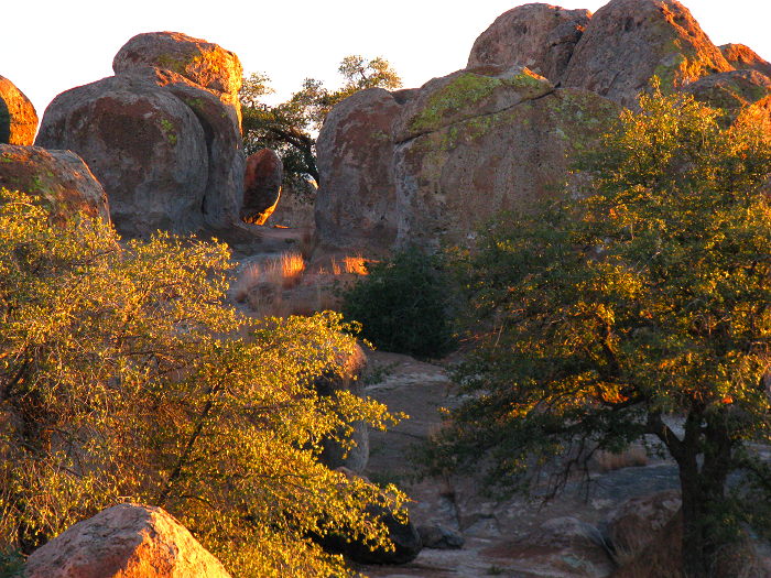 Late day sun, City of Rocks State Park, Faywood NM, February 25, 2009