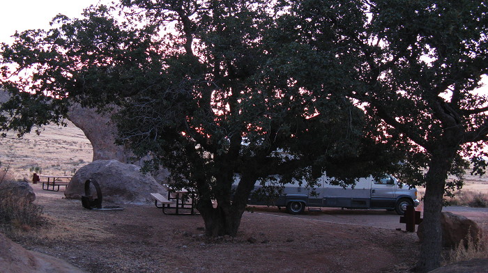 Emory oaks at dawn, Site 12, City of Rocks State Park, Faywood NM, March 14, 2009