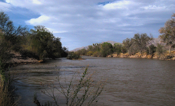 Spring on the Rio Grande, Percha Dam State Park, Arrey NM, March 29, 2009