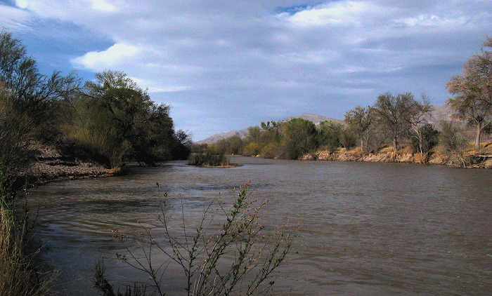 Spring on the Rio Grande, Percha Dam State Park, Arrey NM, March 29, 2009 Spring on the Rio Grande, Percha Dam State Park, Arrey NM, March 29, 2009