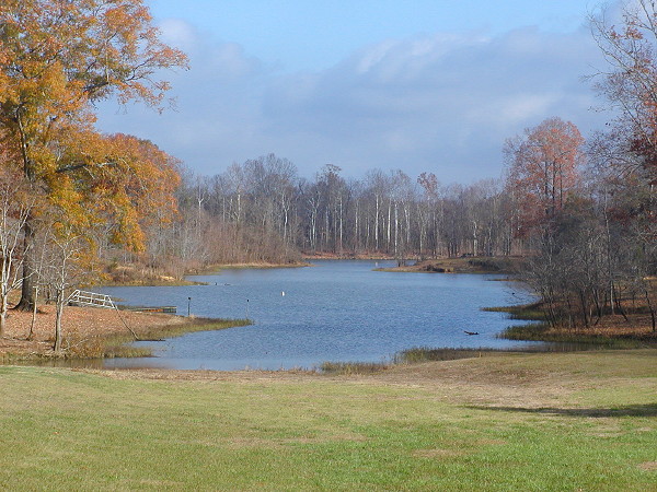 Campground surrounding inlet, Foscue Creek Park, Demopolis AL, December 13, 2007