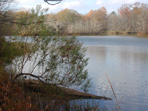 Foscue Creek, Demopolis AL, December 12, 2007