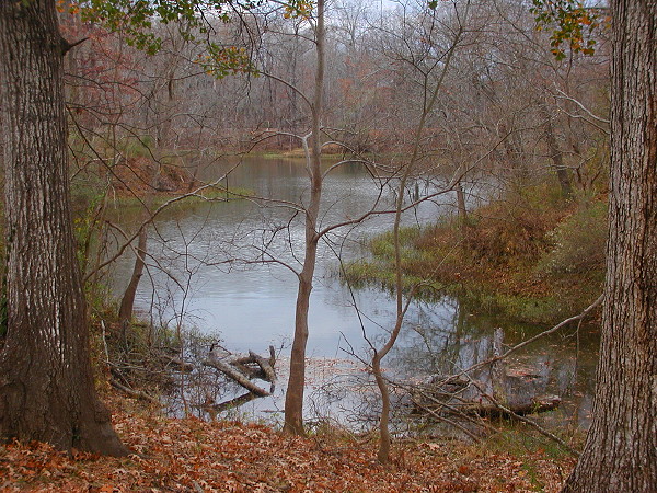 Cove at Foscue Creek Park, Dec 15, 2007