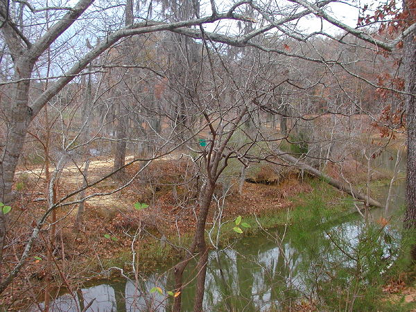 Green chair, on the peninsula behind LD, site 42, Foscue Creek Park, Demopolis AL, December 15, 2007