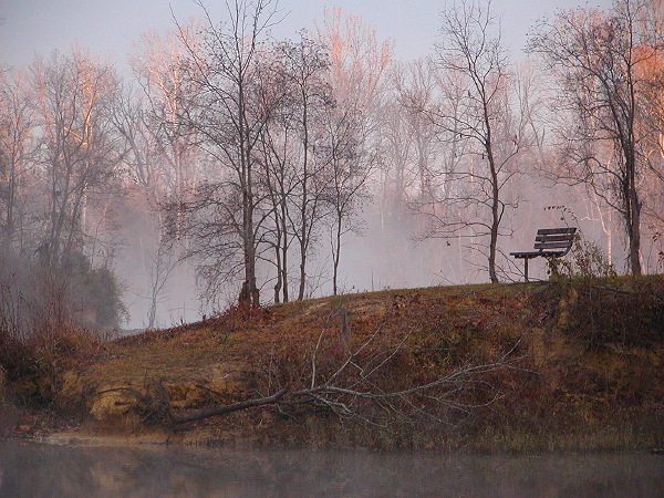 Fallen, Foscue Creek Park, Demopolis AL, December 18, 2007