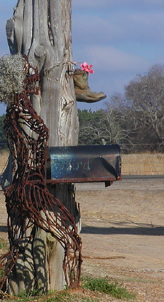 Bird, at Jim Bird's Acta Non Verba, Forkland AL, December 26, 2007